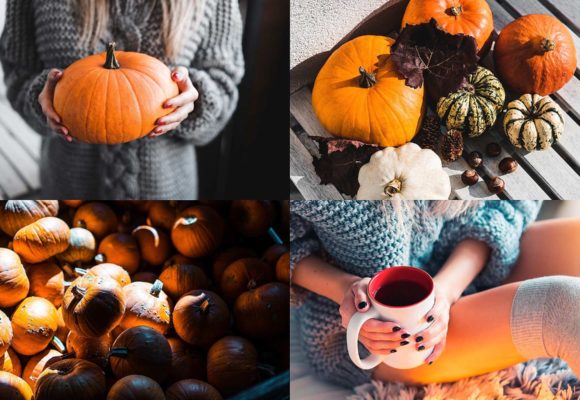 Our Favorite Autumn Activities in San Diego: Have no fear, Pumpkin Spice season is here! ﻿