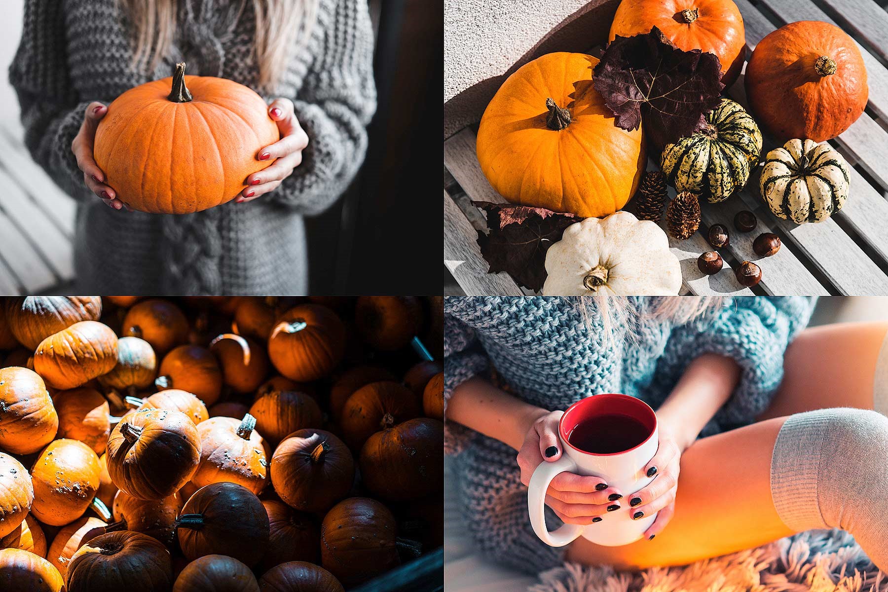 Our Favorite Autumn Activities in San Diego: Have no fear, Pumpkin Spice season is here! ﻿