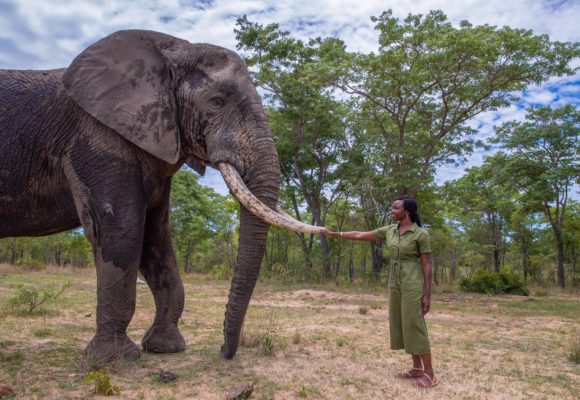 WildAid Featured on People.com for Anti-Poaching Campaign Partnership with Black Panther Star Danai Gurira