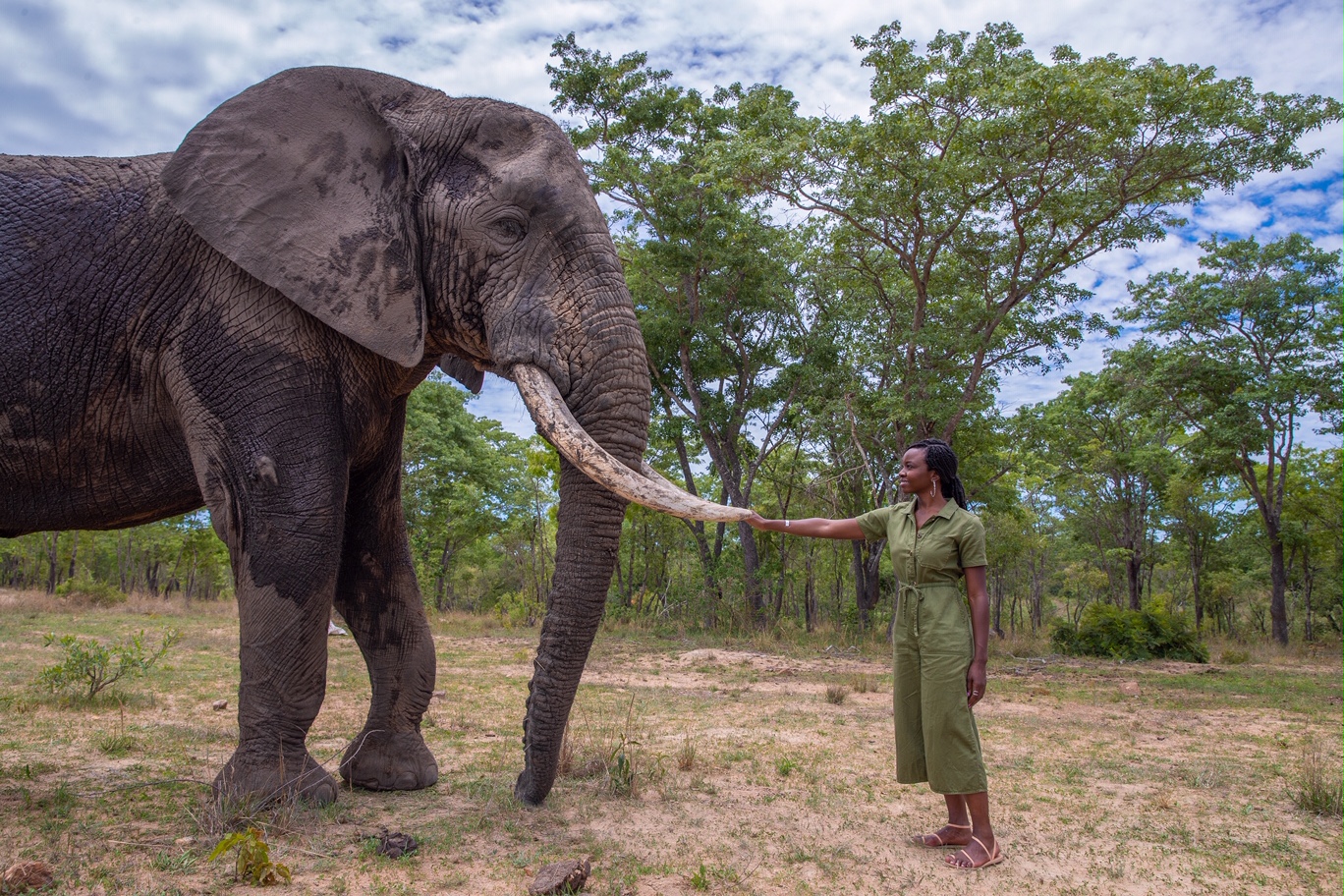 WildAid Featured on People.com for Anti-Poaching Campaign Partnership with Black Panther Star Danai Gurira