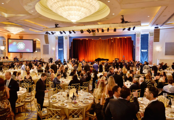 WildAid Gala Raises Record $2.9 Million