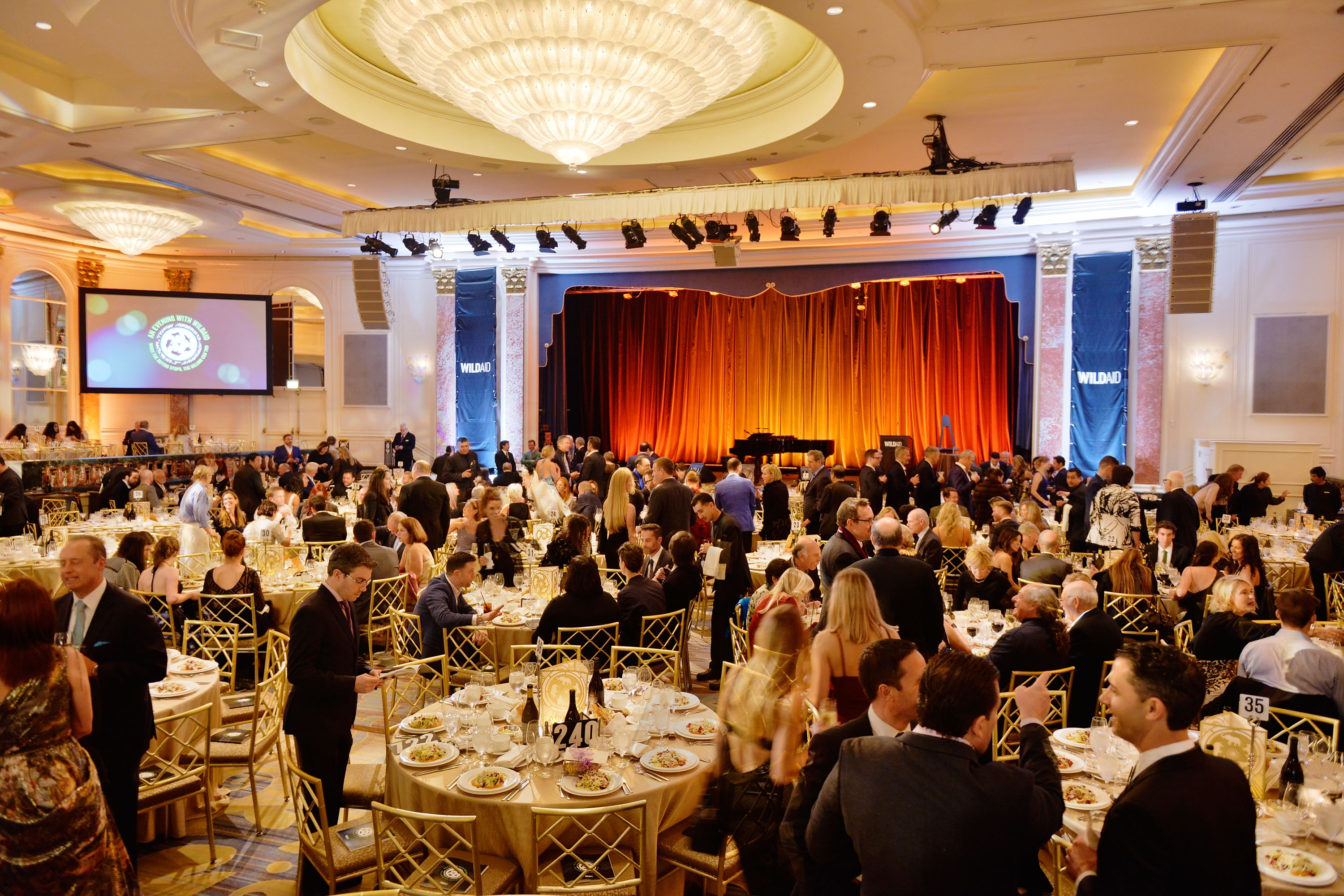 WildAid Gala Raises Record $2.9 Million